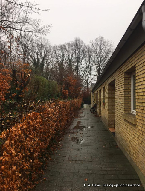 1 V. Skansebakken Beskær 3
