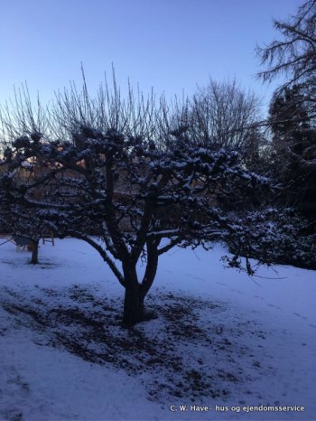 1 Skærmbillede 2019 02 03 kl. 11.37.39