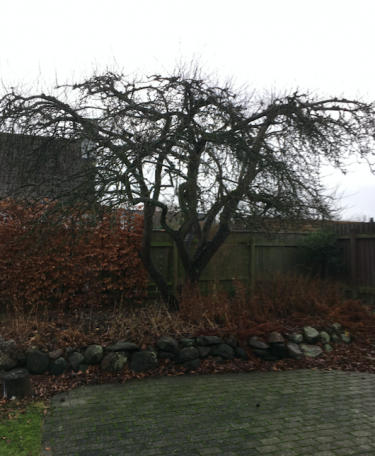 Skærmbillede 2020 01 30 kl. 13.16.04