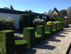 IMG 0574