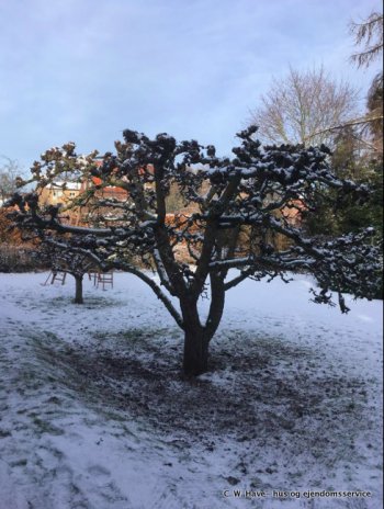 2 Skærmbillede 2019 02 03 kl. 11.37.50