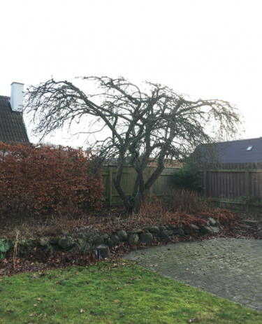 Skærmbillede 2020 01 30 kl. 13.15.54