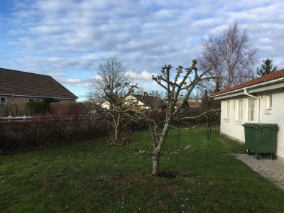 2 IMG 2962