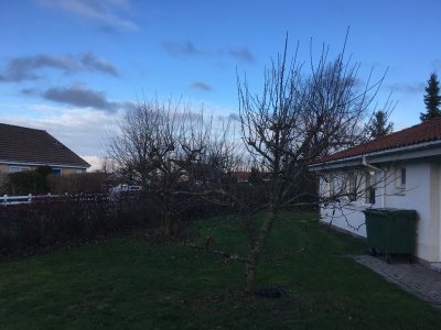 1 IMG 2961